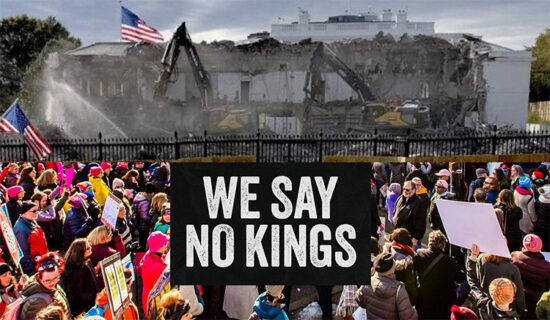 Through the Looking Glass & Down the Rabbit Hole