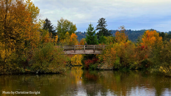 Let the Beauty We Love Be What We Do